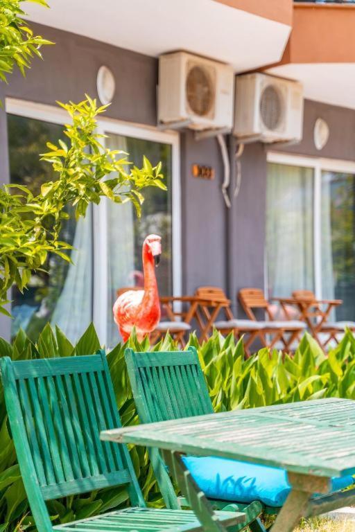 Gizlikoyhotel أنطاليا المظهر الخارجي الصورة
